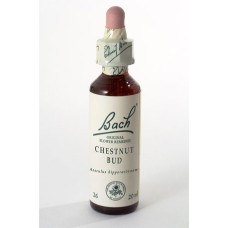 CHESTNUT BUD FIORI DI BACH 20ml CHESTNUT BUD FIORI DI BACH 20ml