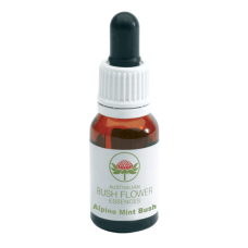Alpine Mint Bush - Prostanthera cuneata Alpine Mint Bush - Prostanthera cuneata